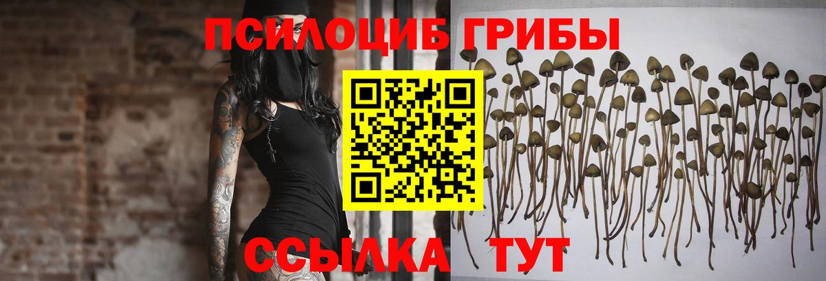 Галлюциногенные грибы GOLDEN TEACHER Магадан